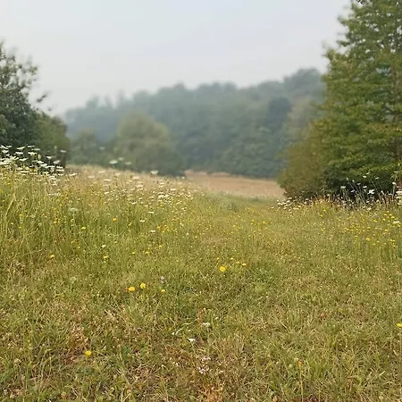 Douceur De Vivre A